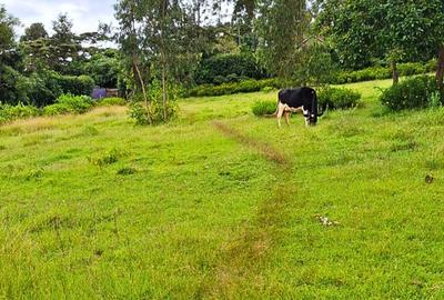 1 ac Commercial Land at Ngong