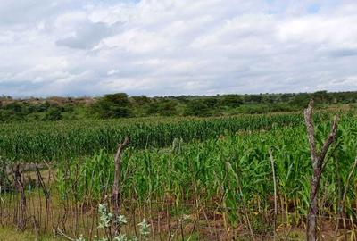 19 ac Land at Narok - Ewasongiro