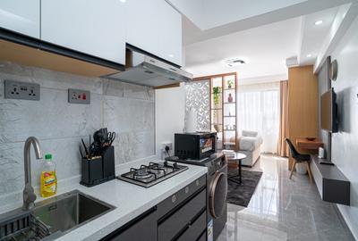 Furnished Studio Apartment with En Suite at Gatundu Rd - 2