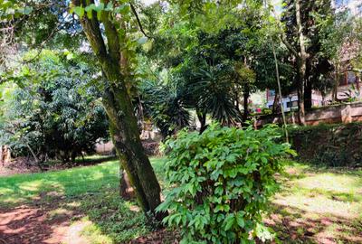 0.8 m² Land at Lavington