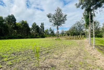 0.75 ac Land at Kona Baridi