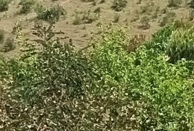 Land in Murang'a County