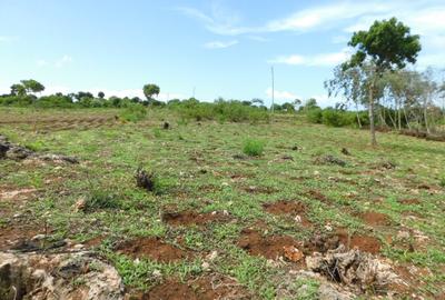 10,000 ft² Land at Vipingo