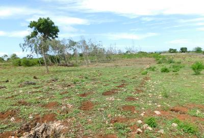 10,000 ft² Land at Vipingo