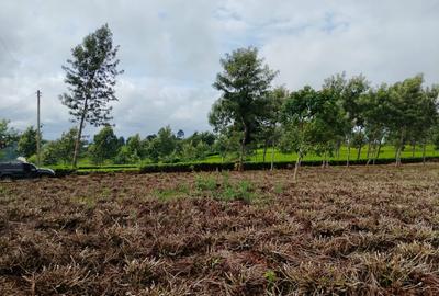 Residential Land at Riara Ridge