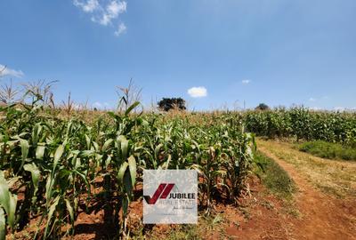 25 ac Land in Kitisuru