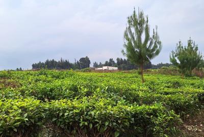 1 ac Residential Land at Tigoni
