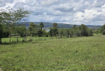 30,000 m² Residential Land at Aistrip - 4