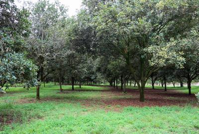 0.050 ha Residential Land at Gatanga Rd