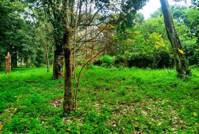 Commercial Land at Thika Road