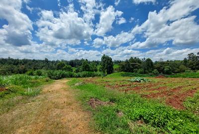 Land at Pan African Insurance Avenue