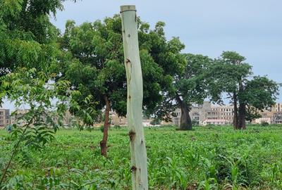 5 ac Land at Vipingo