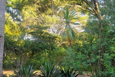1.2 ac Land at Mageta Rd