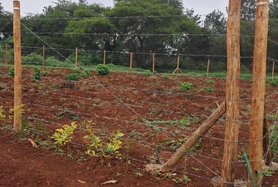 Residential Land in Juja