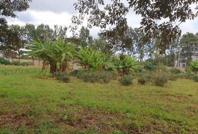 5 ac Land at Runda Paradise - 2