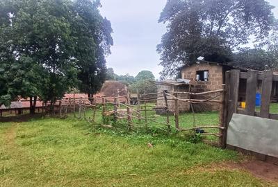 6 ac Land in Tigoni - 3