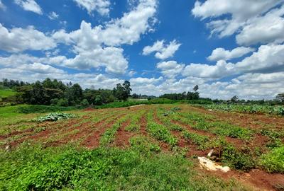 Land at Pan African Insurance Avenue