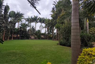 Commercial Property with Service Charge Included in Runda - 2