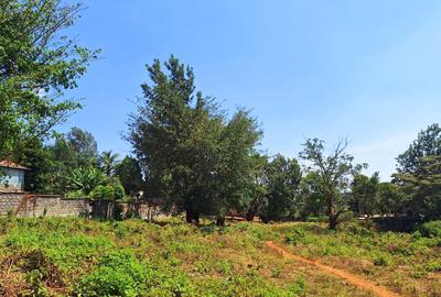 0.75 ac Commercial Land at Thindigua