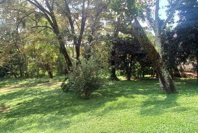 1.1 ac Land at Njumbi Road - 4