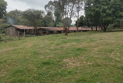 6 Bed House with En Suite in Tigoni - 4