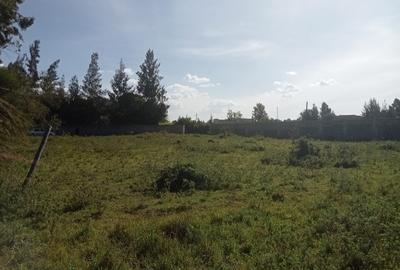 Residential Land at Oloolua Ridge - 3