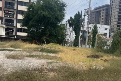 0.33 ac Land at Oceanic Road