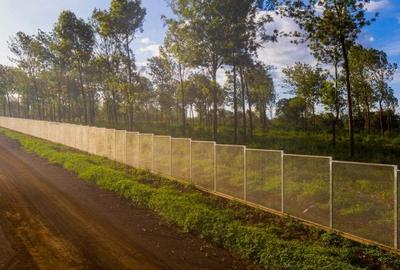 Residential Land in Ruiru - 2