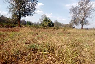 20 ac Land at Kentmare