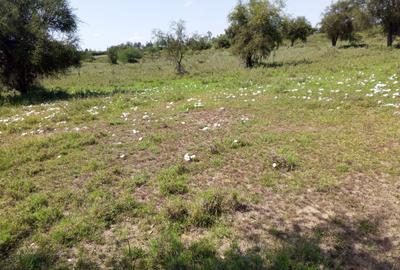 1 ac Land in Ongata Rongai