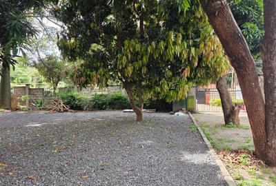Commercial Property in Lavington - 2
