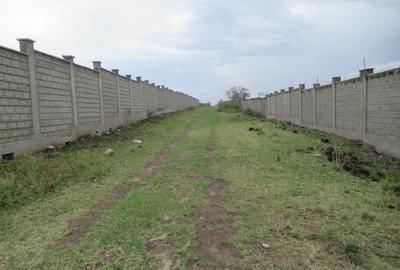 10 ac Land at Sabaki - 4