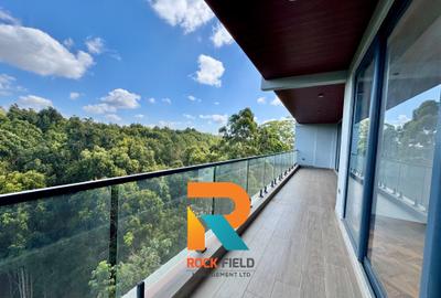 4 Bed Apartment with En Suite in Spring Valley - 2