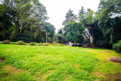 Land in Lavington