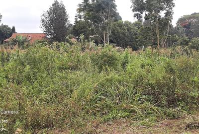 Commercial Property in Nyari - 2