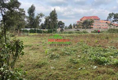 0.1 ha Commercial Land in Limuru