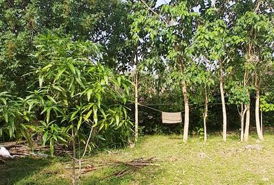 Land at Diani Beach Road