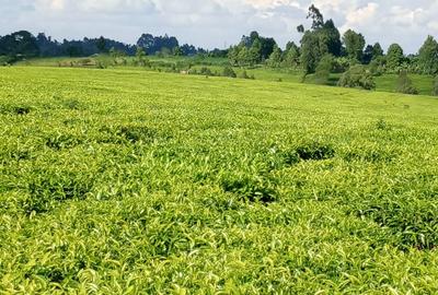 67 ac Land at Ndumberi-Ngorongo Road - 3