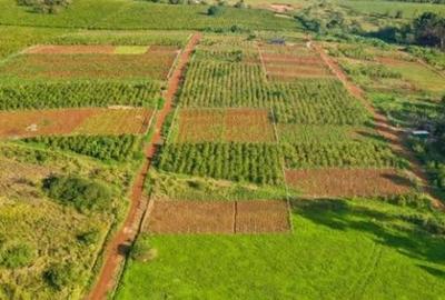 Residential Land in Ruiru
