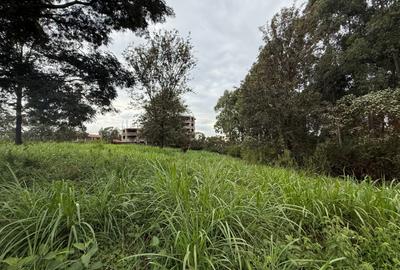 0.5 ac Land in Ruaka - 2