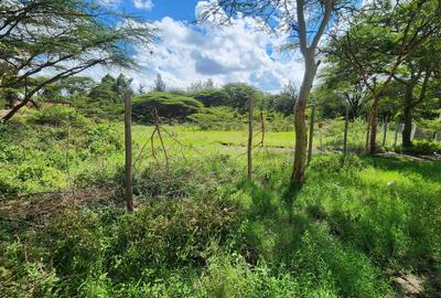 0.5 ac Land at Masai Lodge - 3
