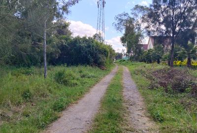 Land in Karen