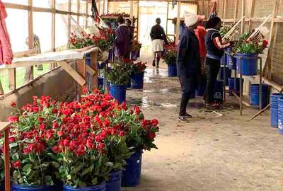 120 ac Land at Nyandarua County - 2