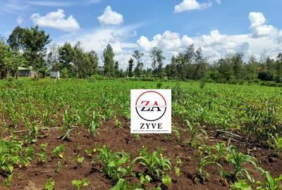 1.5 ac Land at Kenol - 3