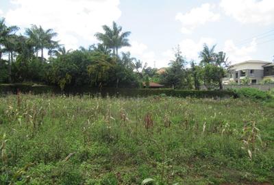 Residential Land at Runda - 4