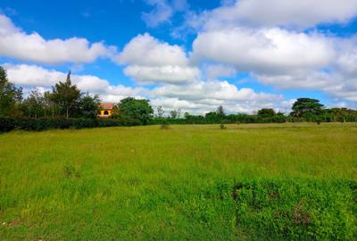 Residential Land in Kitengela