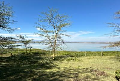 0.25 ac Residential Land at Lake Elementaita