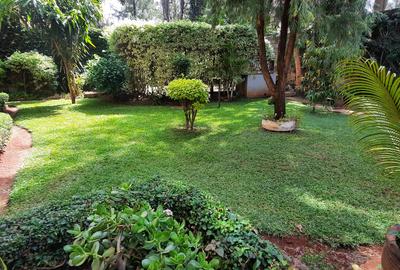 2 Bed Apartment with Backup Generator in Lavington