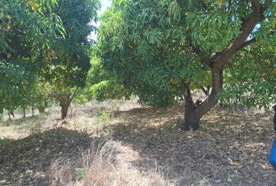 450 ha Residential Land at Sucess Garden Kenol Makuyu