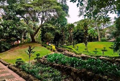 4 Bed Townhouse with En Suite in Riverside - 3